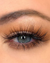 Daisy Bridal - Medium Invisible Band Lash